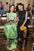 Shiatzy Chen : Front Row - Paris Fashion Week -...