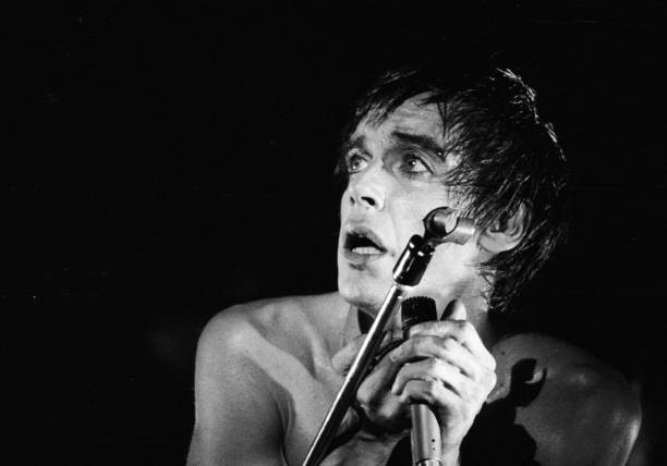 Image result for iggy pop lust for life tour images
