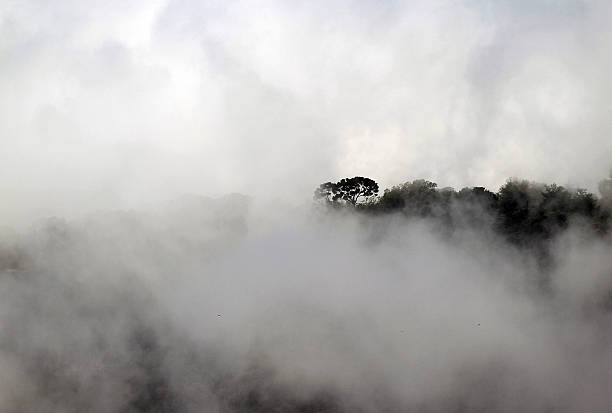 A bank of mist covers the French southern city of Nice, on May 24, 2010.