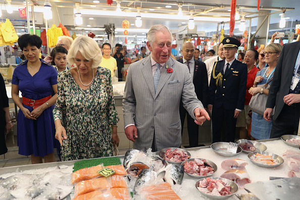 camilla-duchess-of-cornwall-and-prince-charles-prince-of-wales-are-on-picture-id868817088