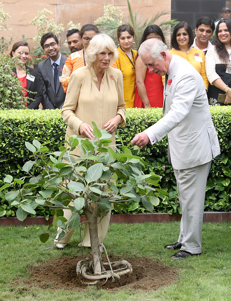 camilla-duchess-of-cornwall-and-prince-charles-prince-of-wales-plant-picture-id871567264