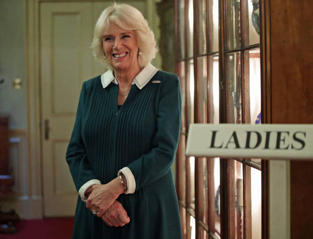 camilla-duchess-of-cornwall-is-seen-during-a-reception-to-celebrate-picture-id862388788