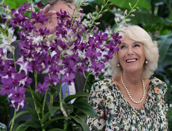 camilla-duchess-of-cornwall-takes-part-in-an-orchid-naming-ceremony-picture-id868875308