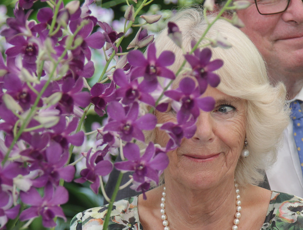 camilla-duchess-of-cornwall-takes-part-in-an-orchid-naming-ceremony-picture-id868875334