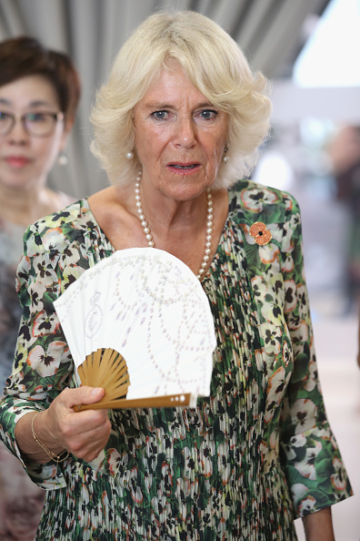 camilla-duchess-of-cornwall-visits-the-tiong-bahru-community-centre-picture-id868816822