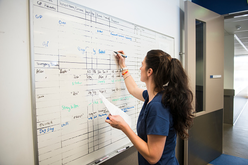Female vet writing on whiteboard : Stock Photo