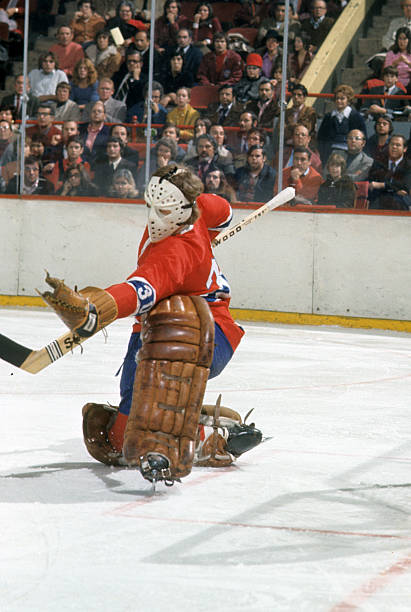 Montreal Canadiens goalie Wayne Thomas