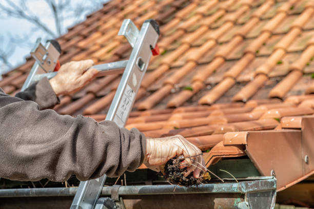 man on a ladder cleaning house gutters - gutter cleaning stock pictures, royalty-free photos & images
