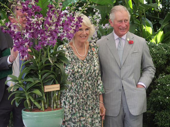 prince-charles-prince-of-wales-and-camilla-duchess-of-cornwall-take-picture-id868875262