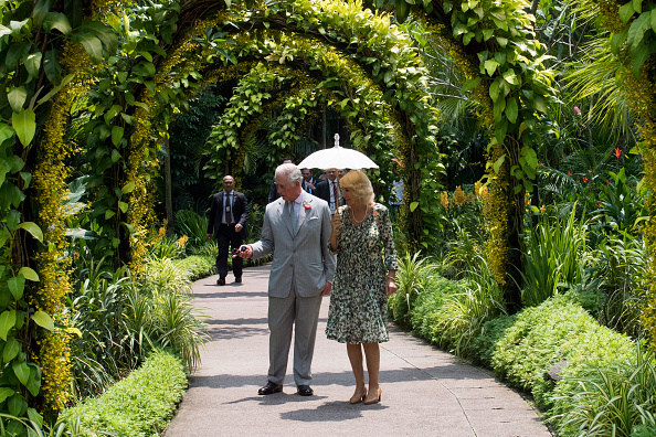 prince-charles-prince-of-wales-and-camilla-duchess-of-cornwall-tour-picture-id868878338