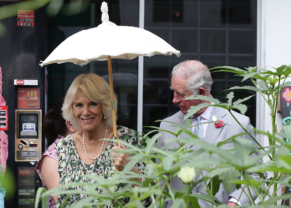 the-prince-of-wales-and-the-duchess-of-cornwall-visit-tiong-bahru-picture-id868814758