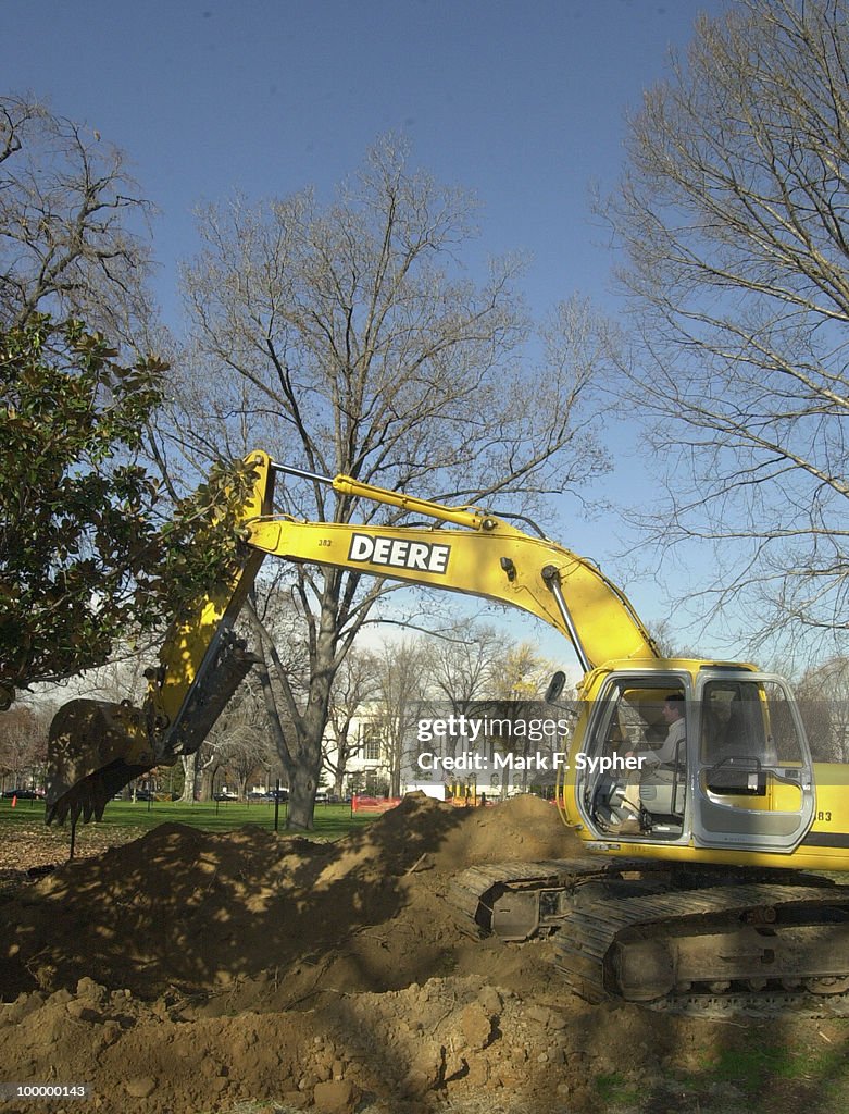 Transplanted Trees