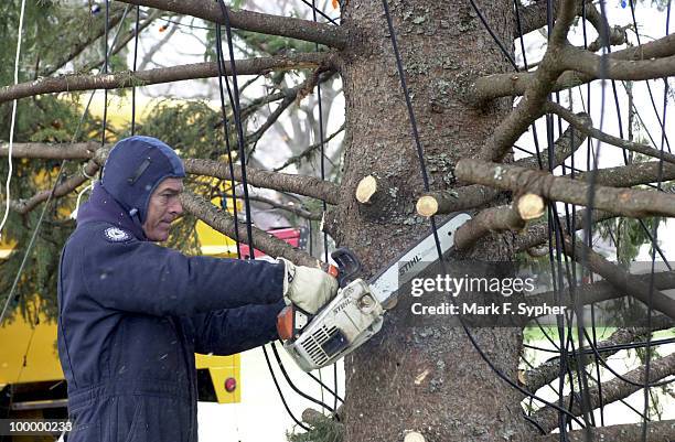 Jim Brumfield buzzes through the lower branches of the Capitol Christmas Tree during snow flurries Thursday morning.