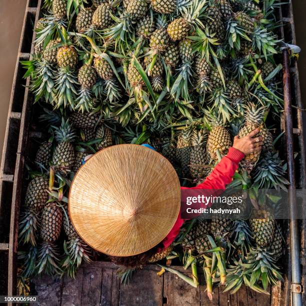 femme vietnamienne vente ananas sur flottant marché, delta du mekong, vietnam - mekong delta photos et images de collection