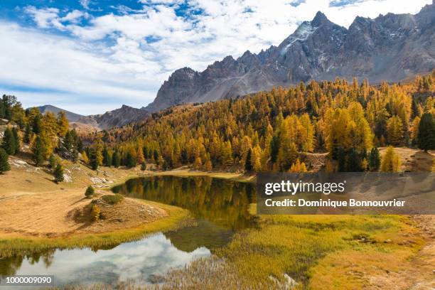 lac miroir - miroir stock pictures, royalty-free photos & images