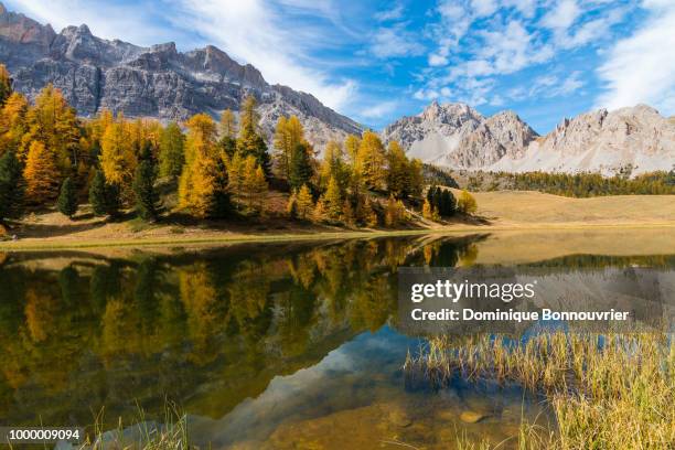 lac miroir - miroir stock pictures, royalty-free photos & images