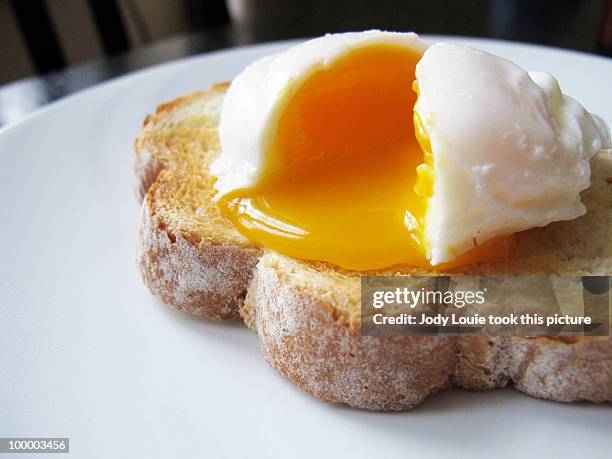 poached egg on toast - egg yolk stock pictures, royalty-free photos & images