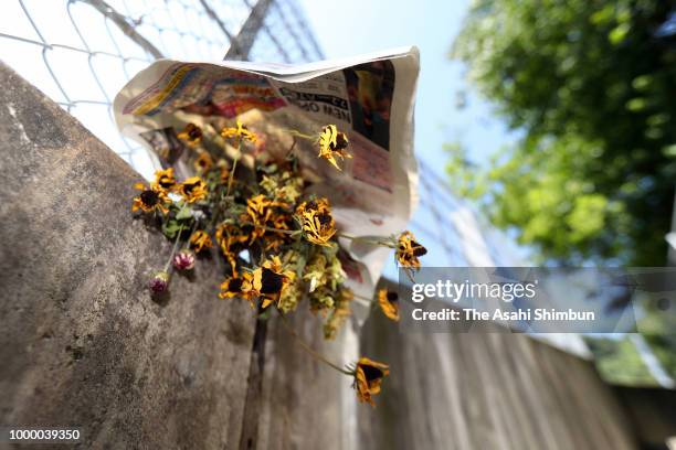 An offered flower bouquet is dried as sweltering heat continues at a landslide site on July 14, 2018 in Kure, Hiroshima, Japan. More than 100 people...