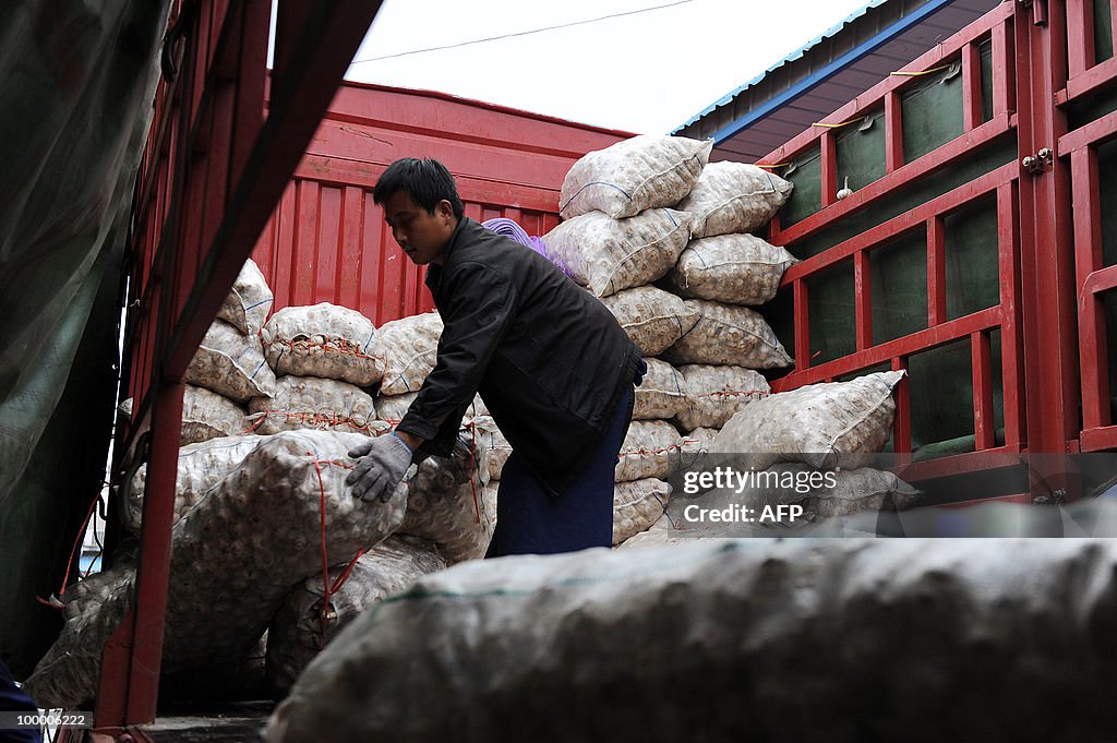 A Chinese worker unloads bags of garlic