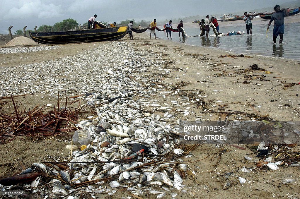 Indian fishermen carry their nets as the