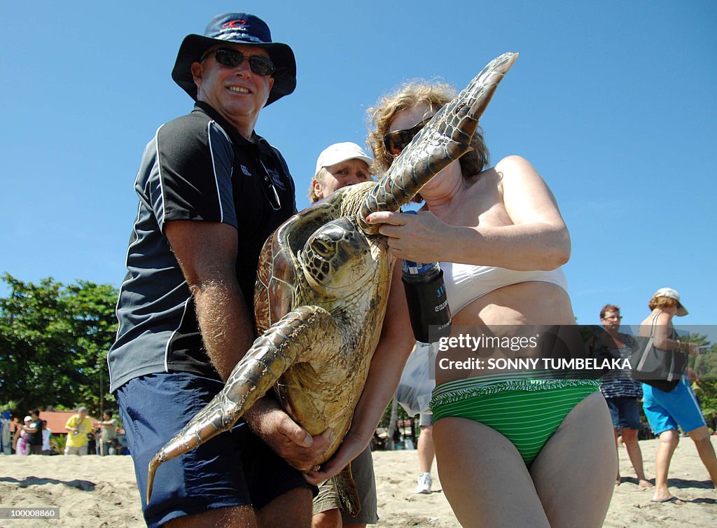 Tourists carry a rescued green turtle at
