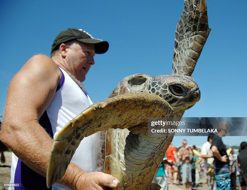 Tourist carries a rescued green turtle a