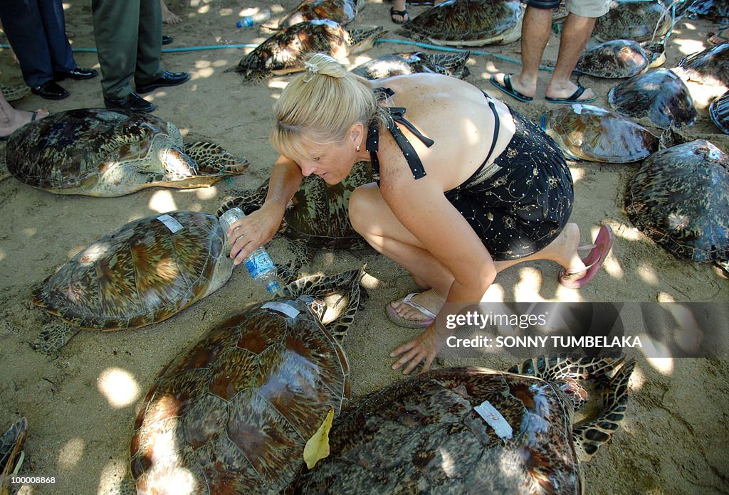 A tourist pours water on rescued green t