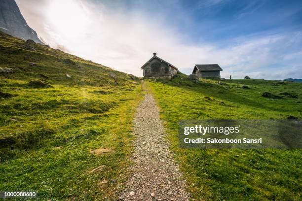 grass field in my dream - sakonboon stock pictures, royalty-free photos & images