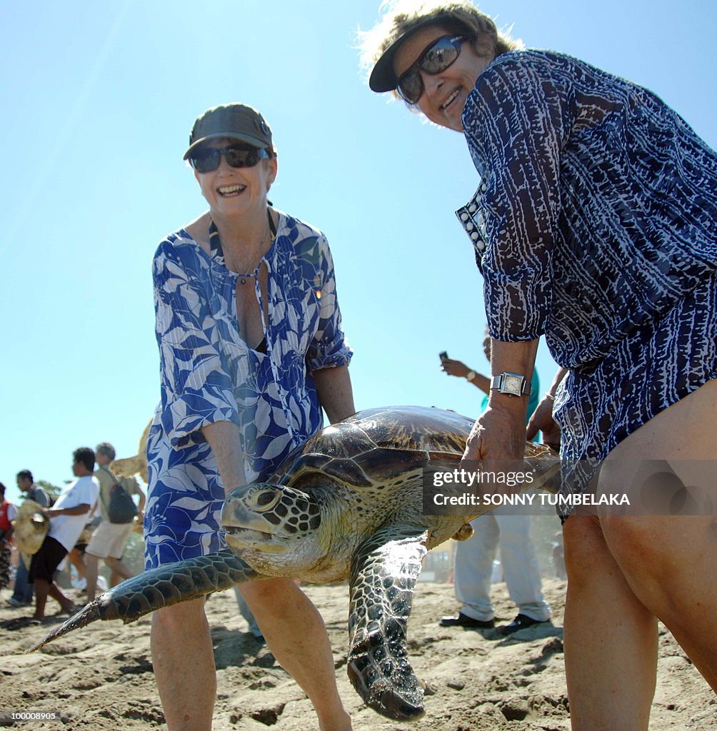 Tourists carry a rescued green turtle at