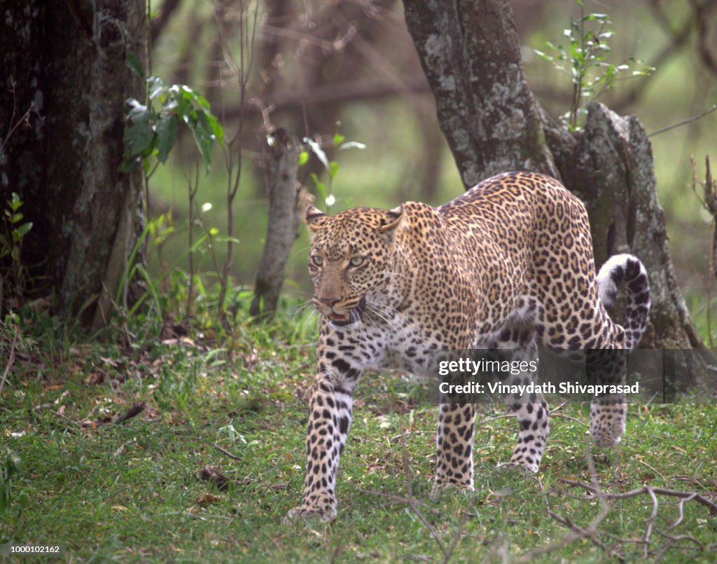 Narok,Kenya