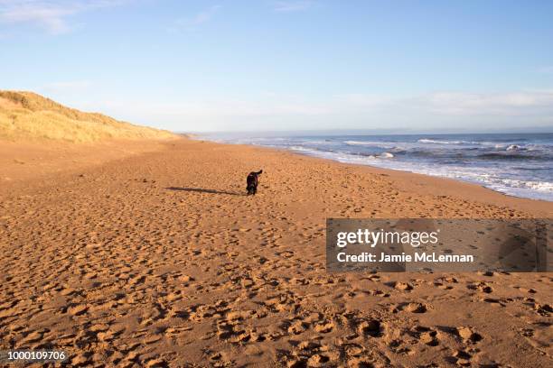 Balmide Balmedie Beach Photos and Premium High Res Pictures - Getty Images