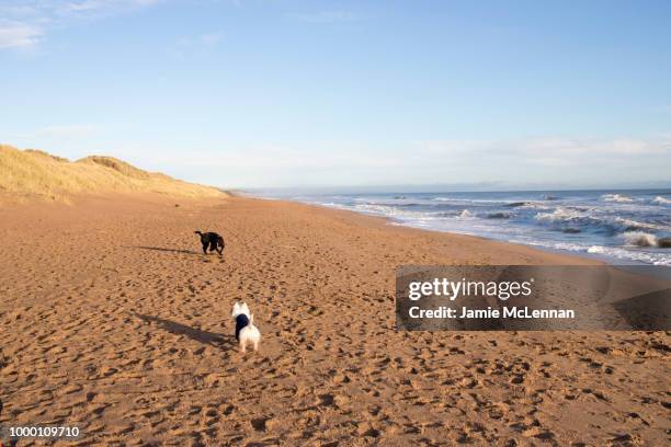 Balmide Balmedie Beach Photos and Premium High Res Pictures - Getty Images