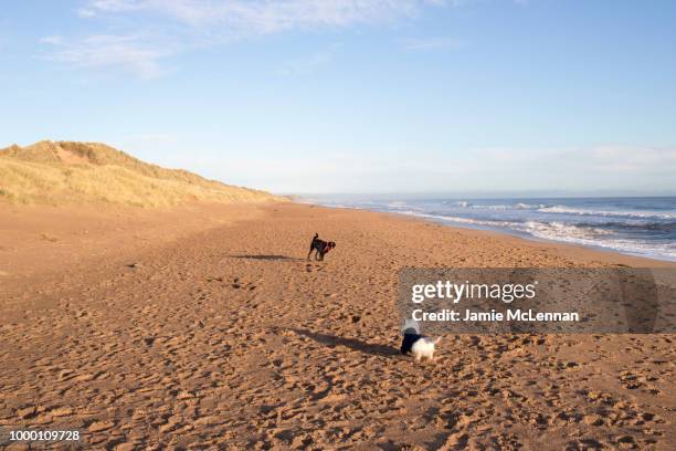 Balmide 45 Balmedie Beach Stock Photos, High-Res Pictures, and Images - Getty ...