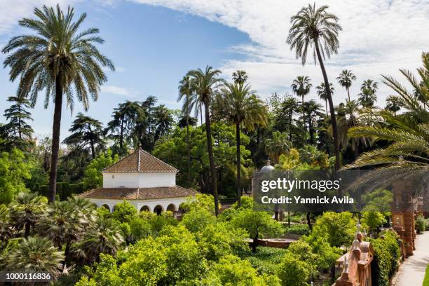 2 - koninklijk paleis van sevilla stockfoto's en -beelden