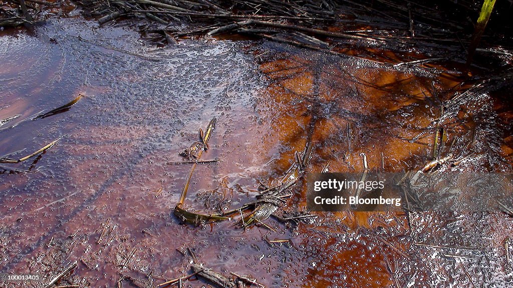 Oil Spill In The Mississippi Delta