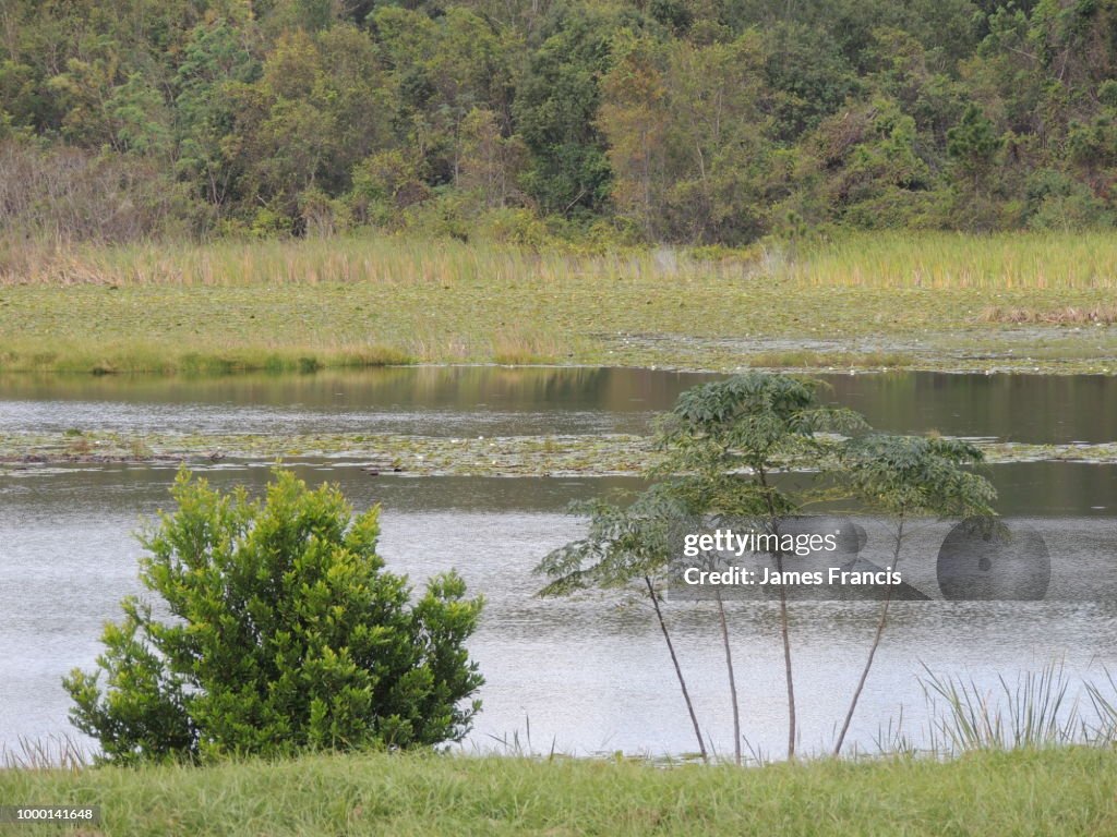Waterscape 1