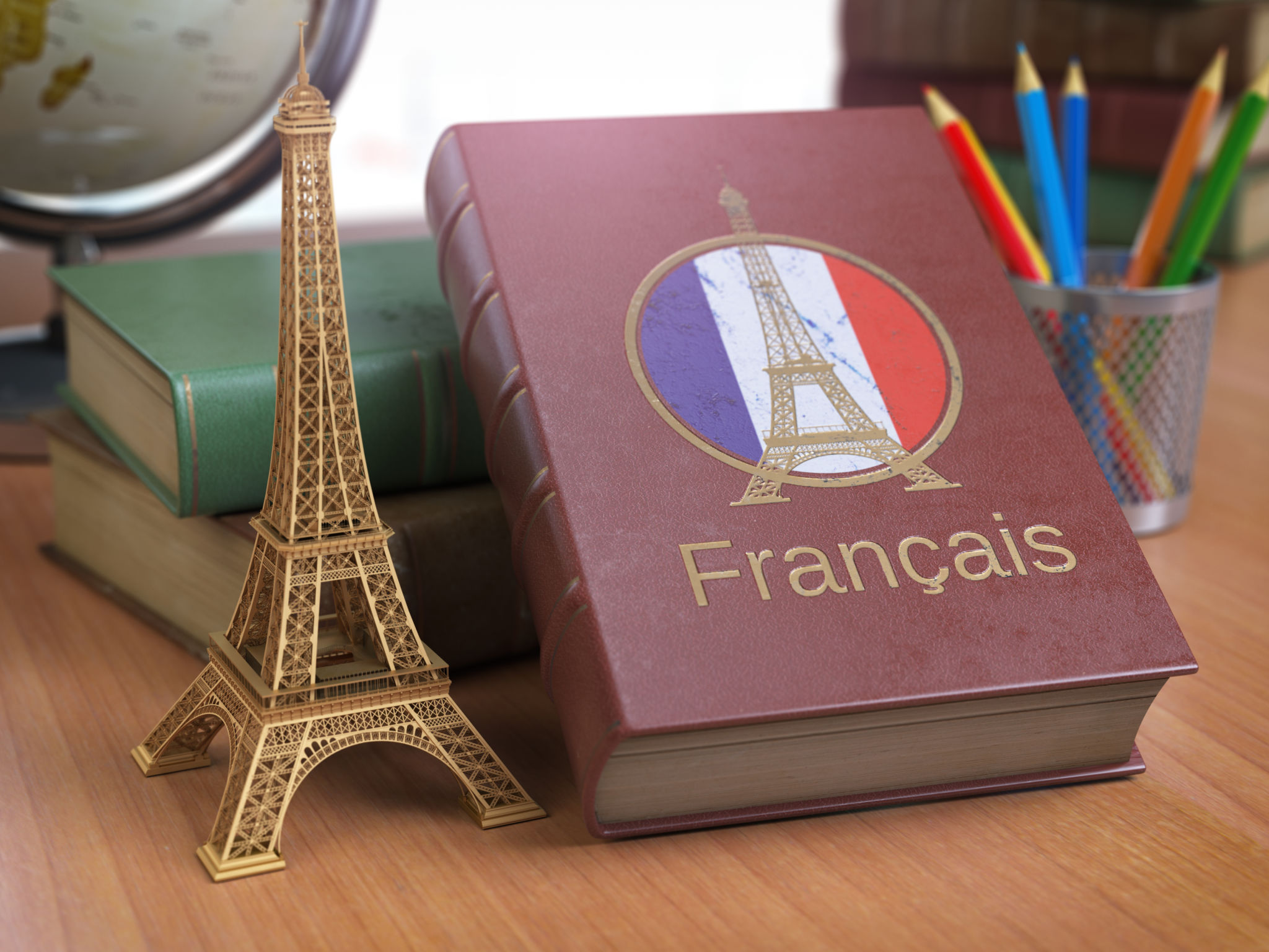 french grammar books