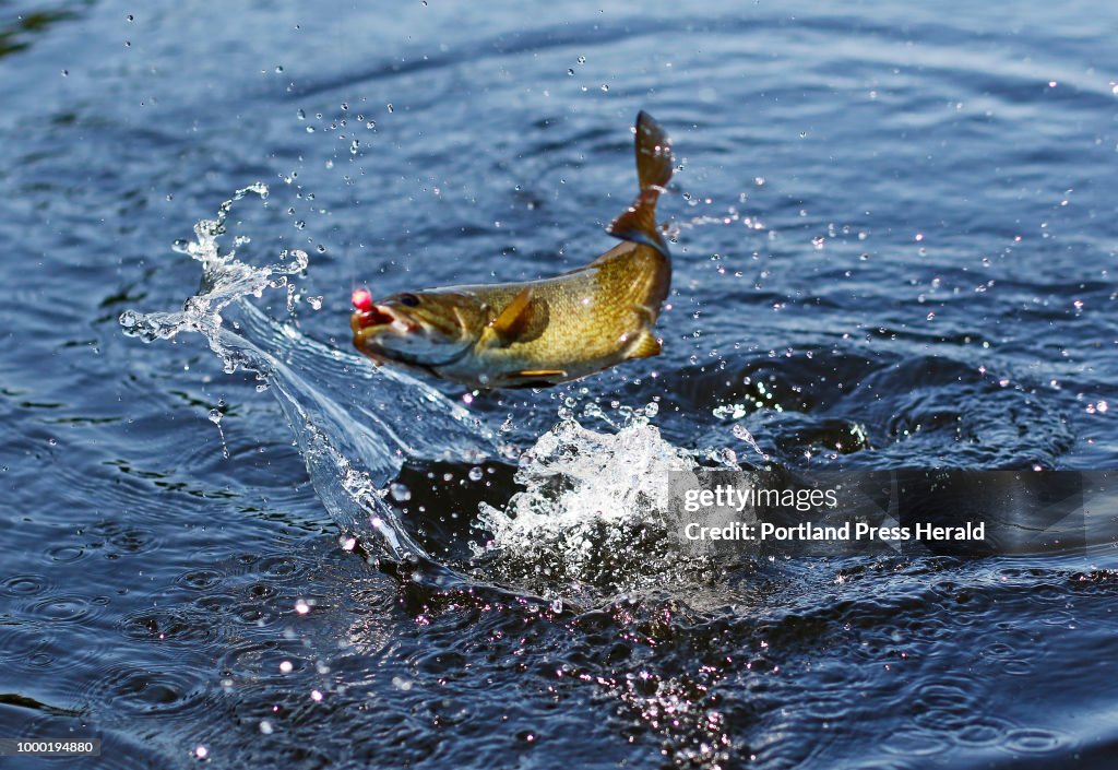 How to catch and release a fish