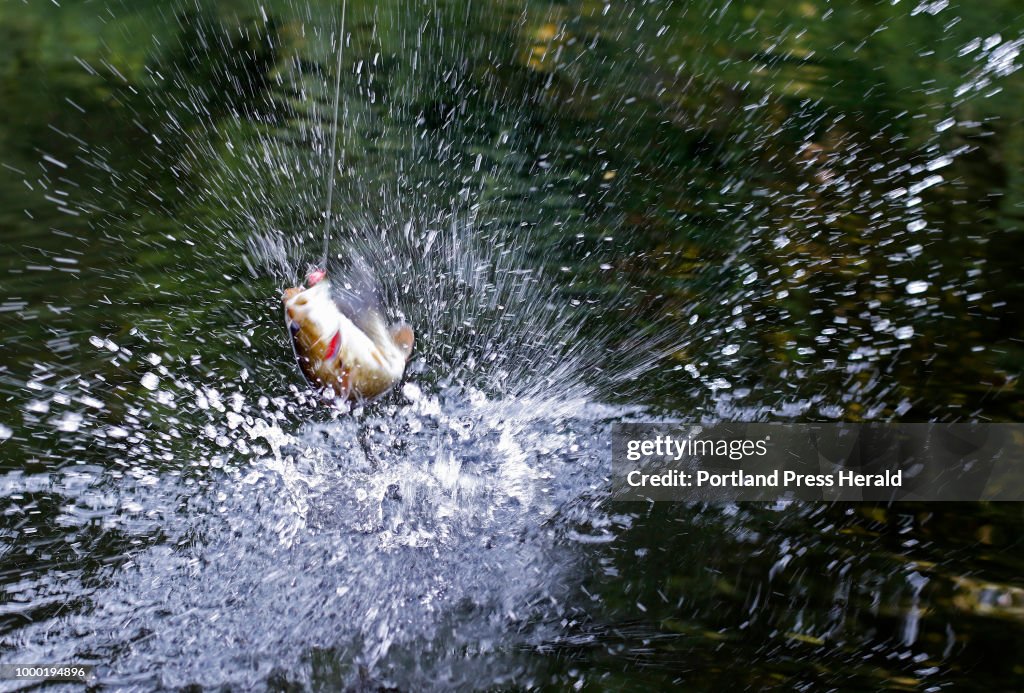 How to catch and release a fish