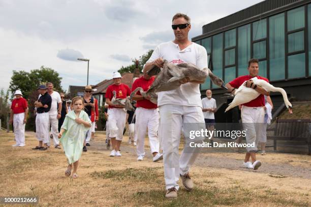 Swans and Cygnets are released during the annual Swan Upping census on July 16, 2018 on the River Thames, South West London. The historic Swan Upping...