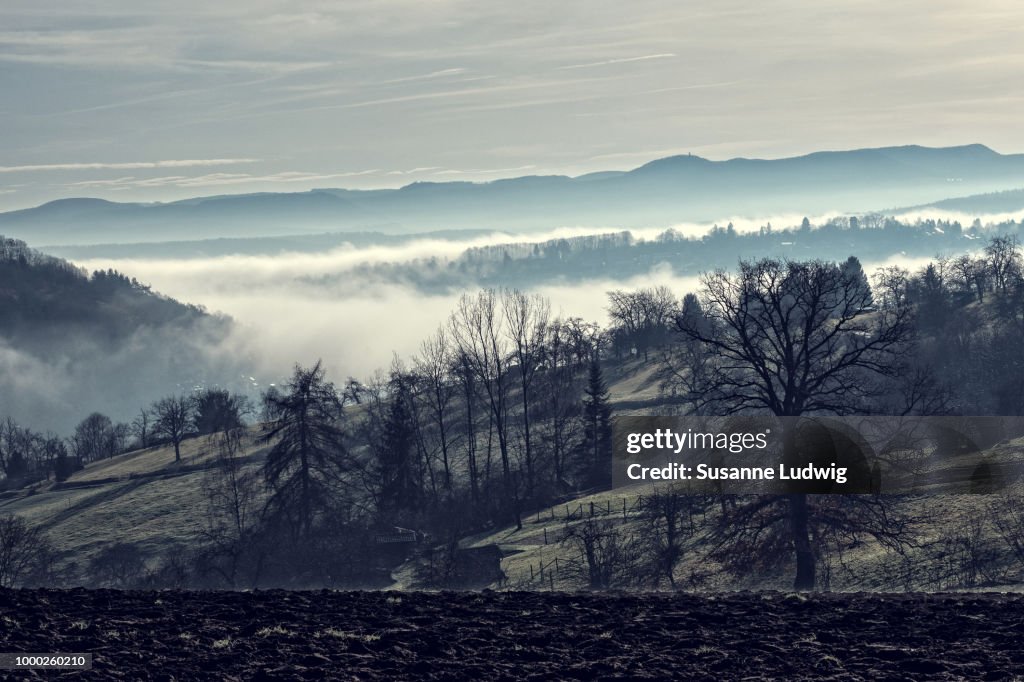 Fog in the valley