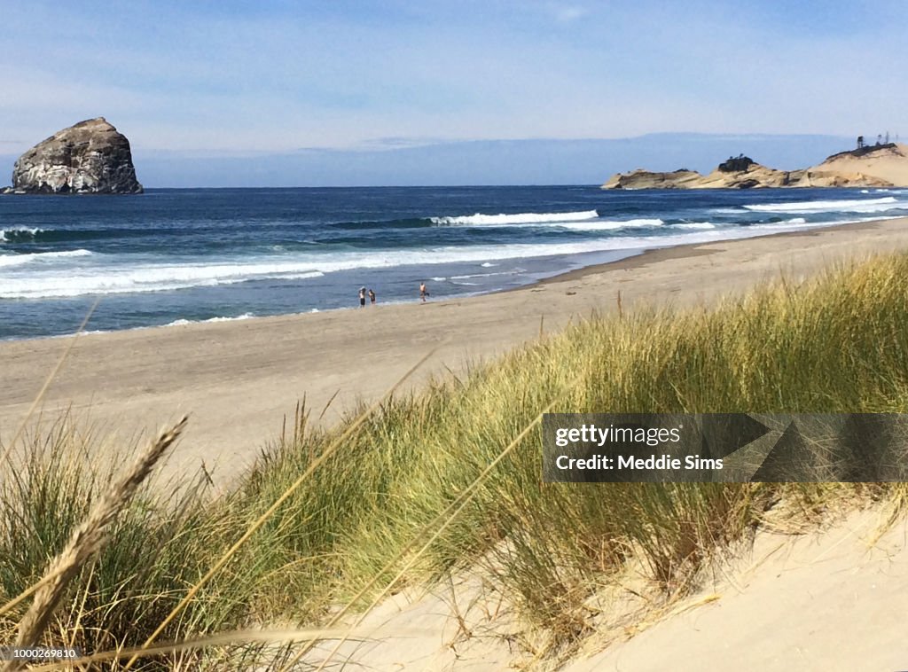 Coastal Grass