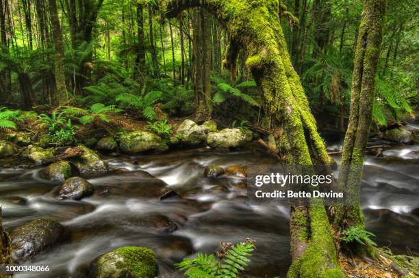 26 Taggerty Stock Photos, HighRes Pictures, and Images Getty Images