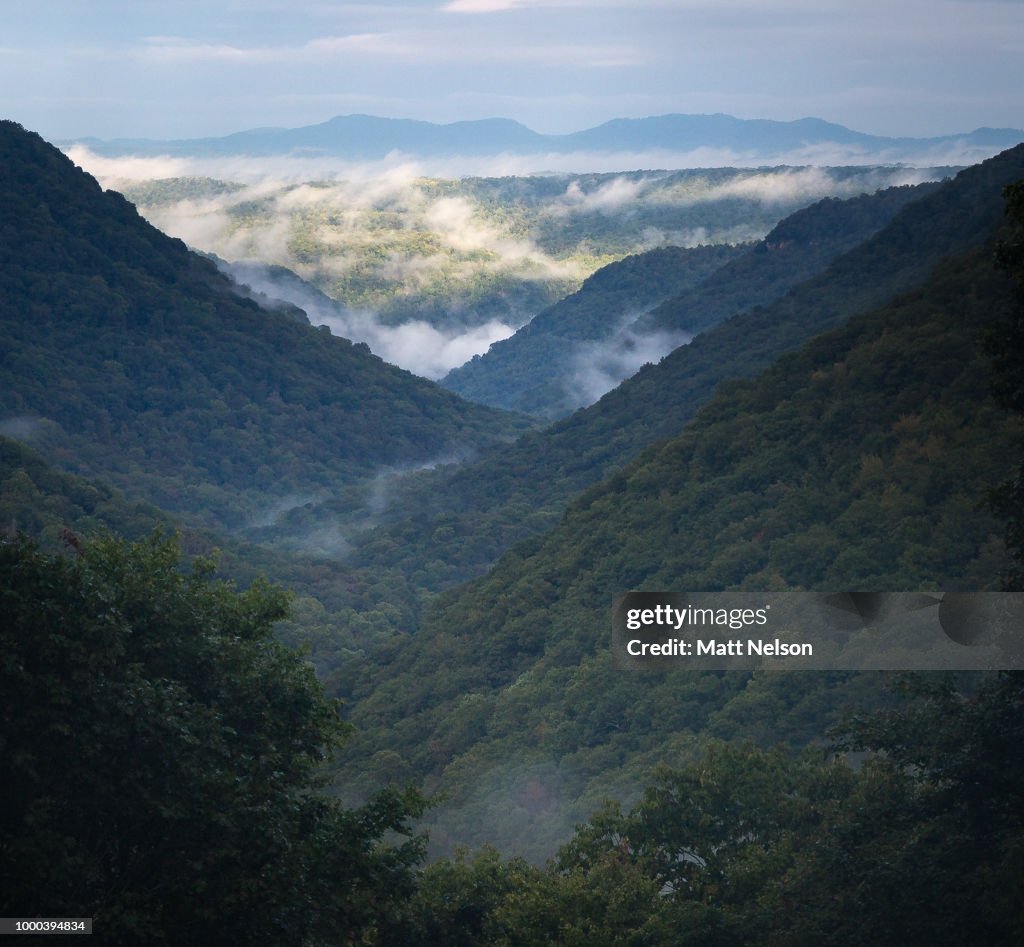 Mountain Fog