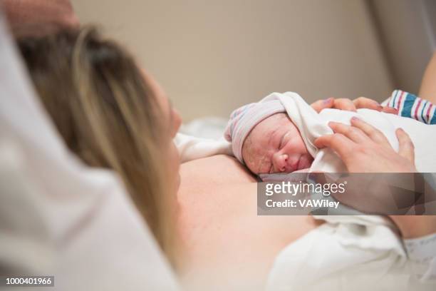 peaceful newborn in the hospital on mom's chest - pregnant home stock pictures, royalty-free photos & images