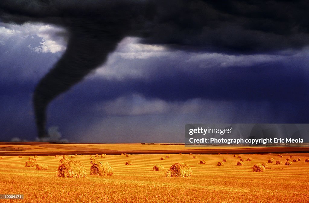 TORNADO ON HORIZON OF WHEAT FIELD