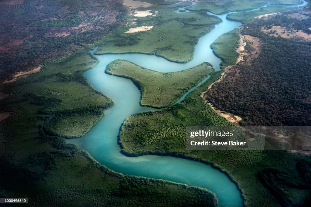 Flying over the Gambian Mangroves