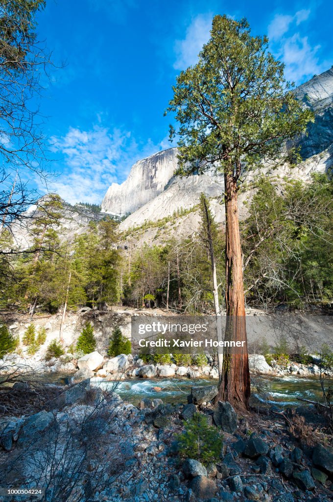 Merced River and Half Dome