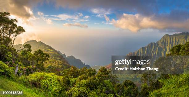 vista de kalalau lookot - hawaii islands fotografías e imágenes de stock