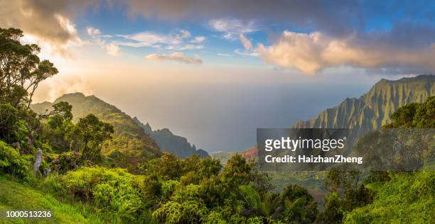 kalalau lookot visa - hawaii islands bildbanksfoton och bilder